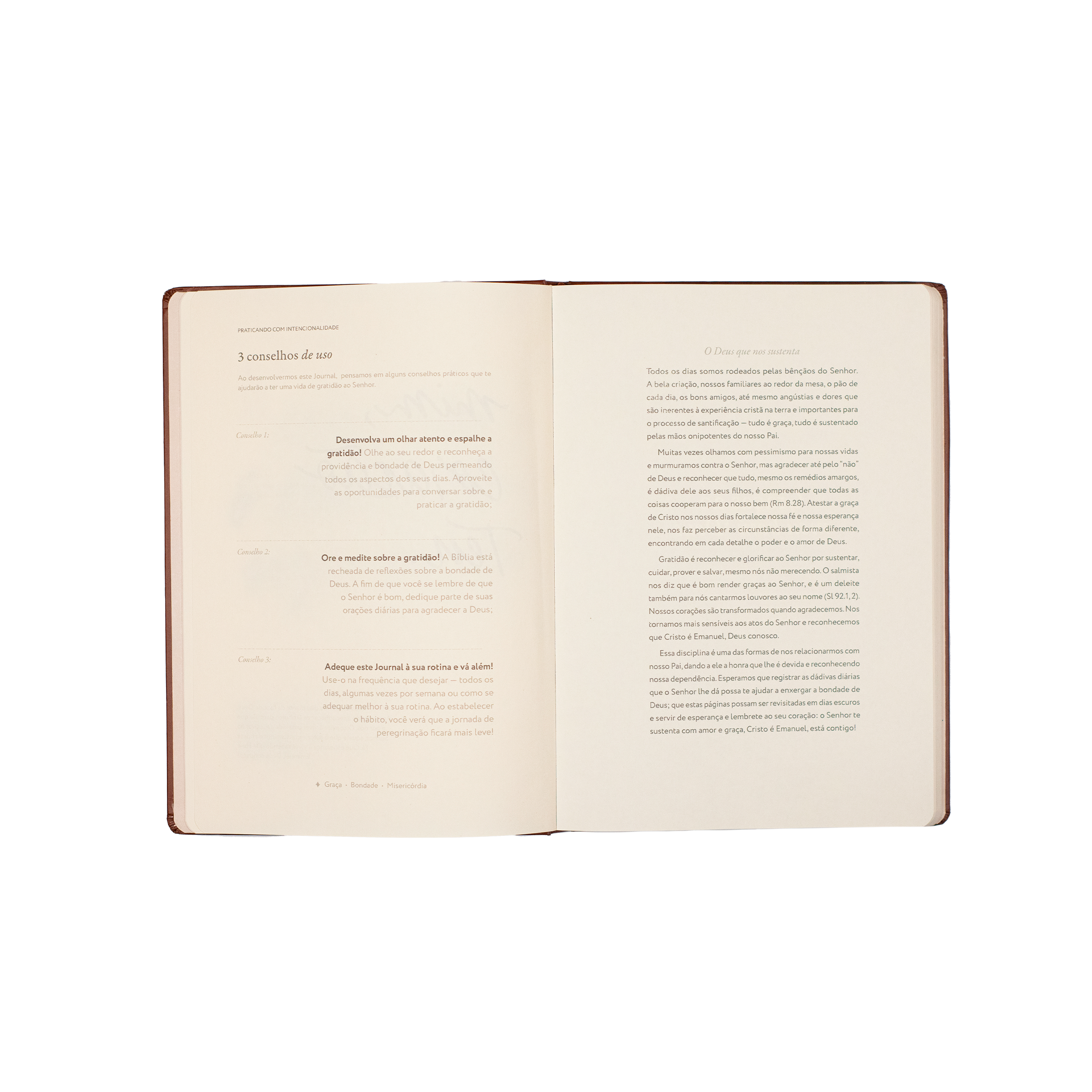 Graças ao meu bom Deus: Journal de Gratidão