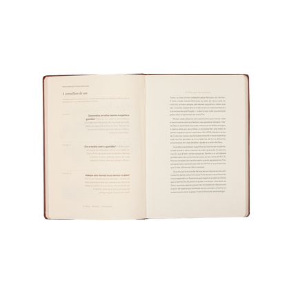 Graças ao meu bom Deus: Journal de Gratidão