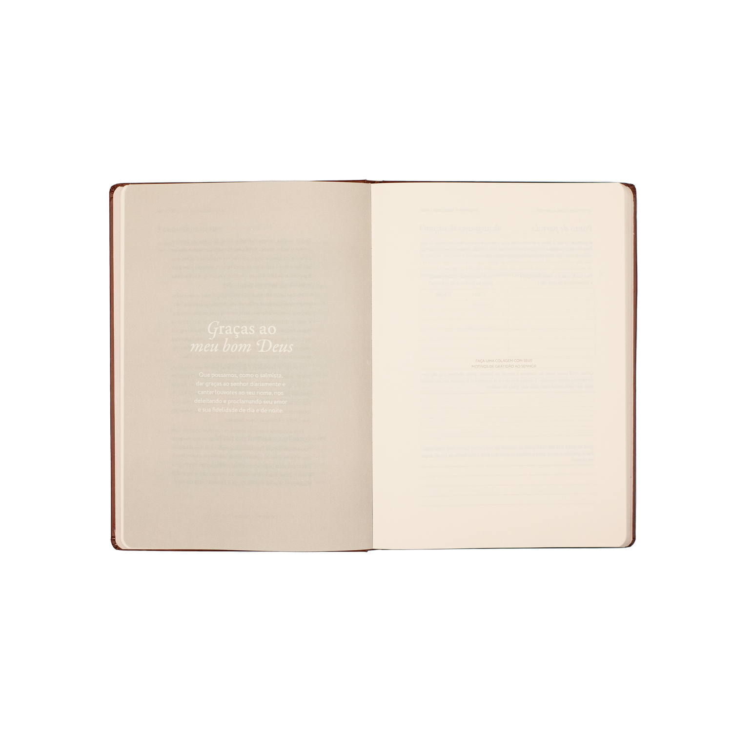 Graças ao meu bom Deus: Journal de Gratidão