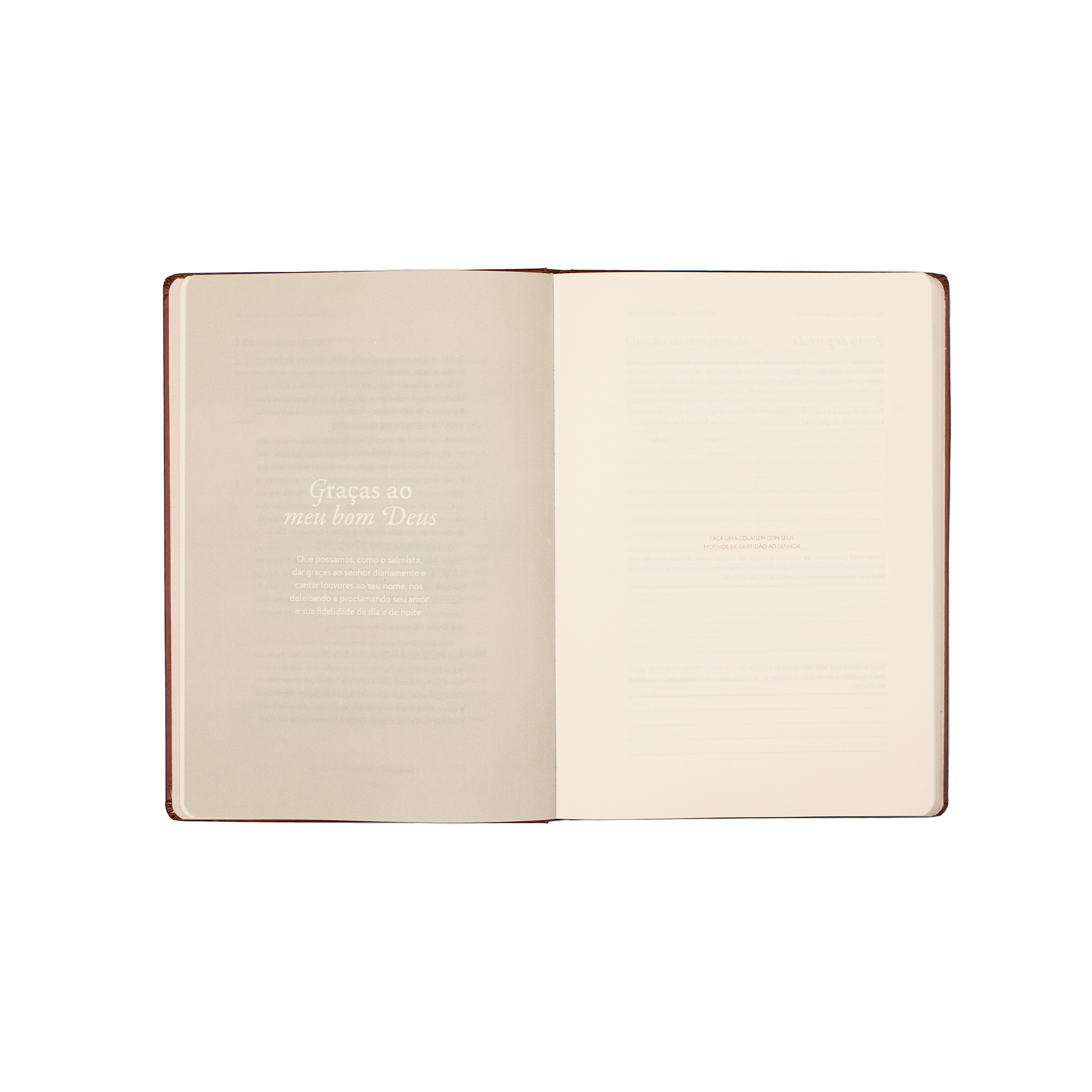 Graças ao meu bom Deus: Journal de Gratidão