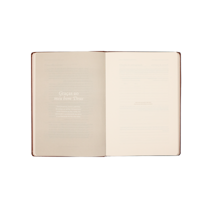 Graças ao meu bom Deus: Journal de Gratidão