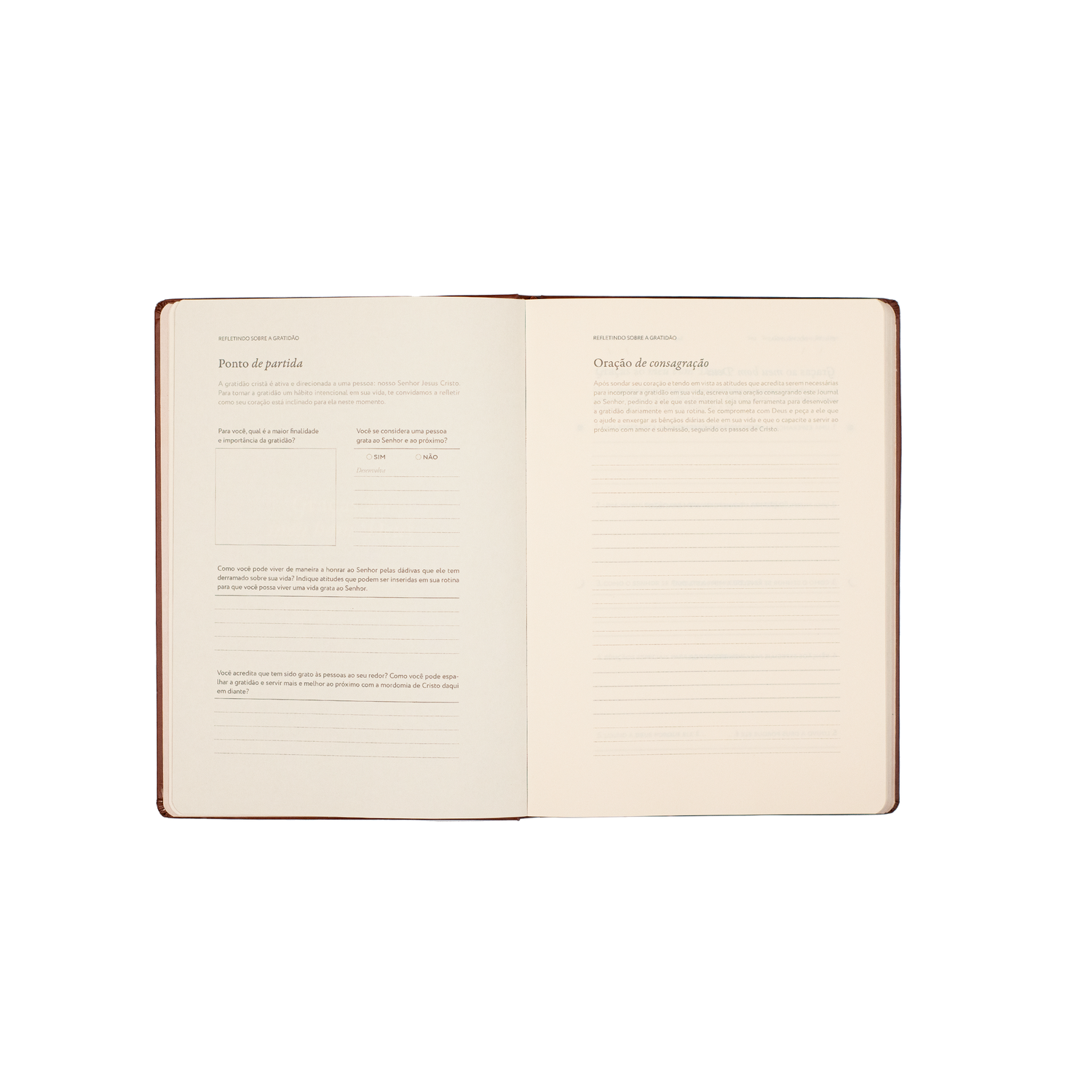 Graças ao meu bom Deus: Journal de Gratidão