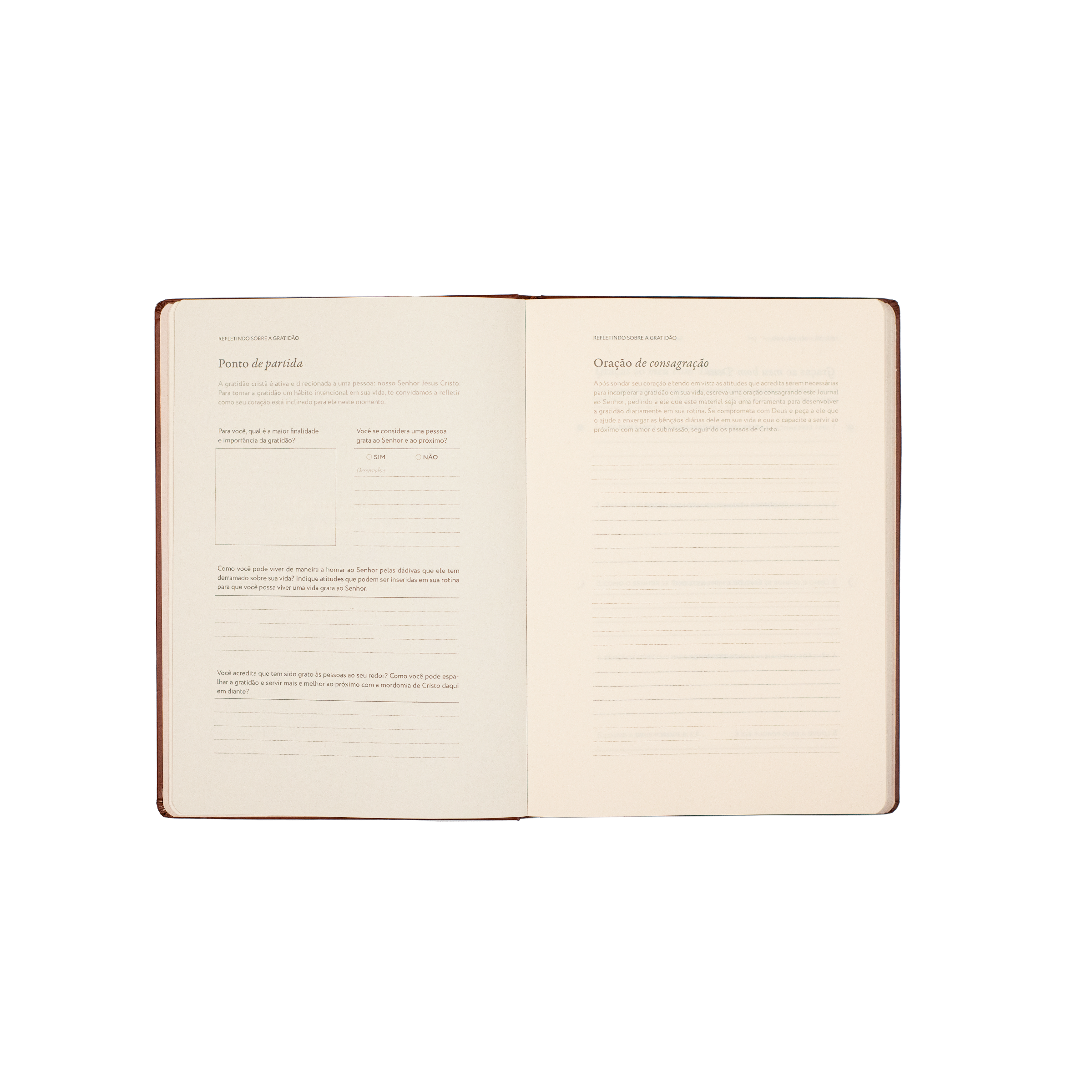 Graças ao meu bom Deus: Journal de Gratidão