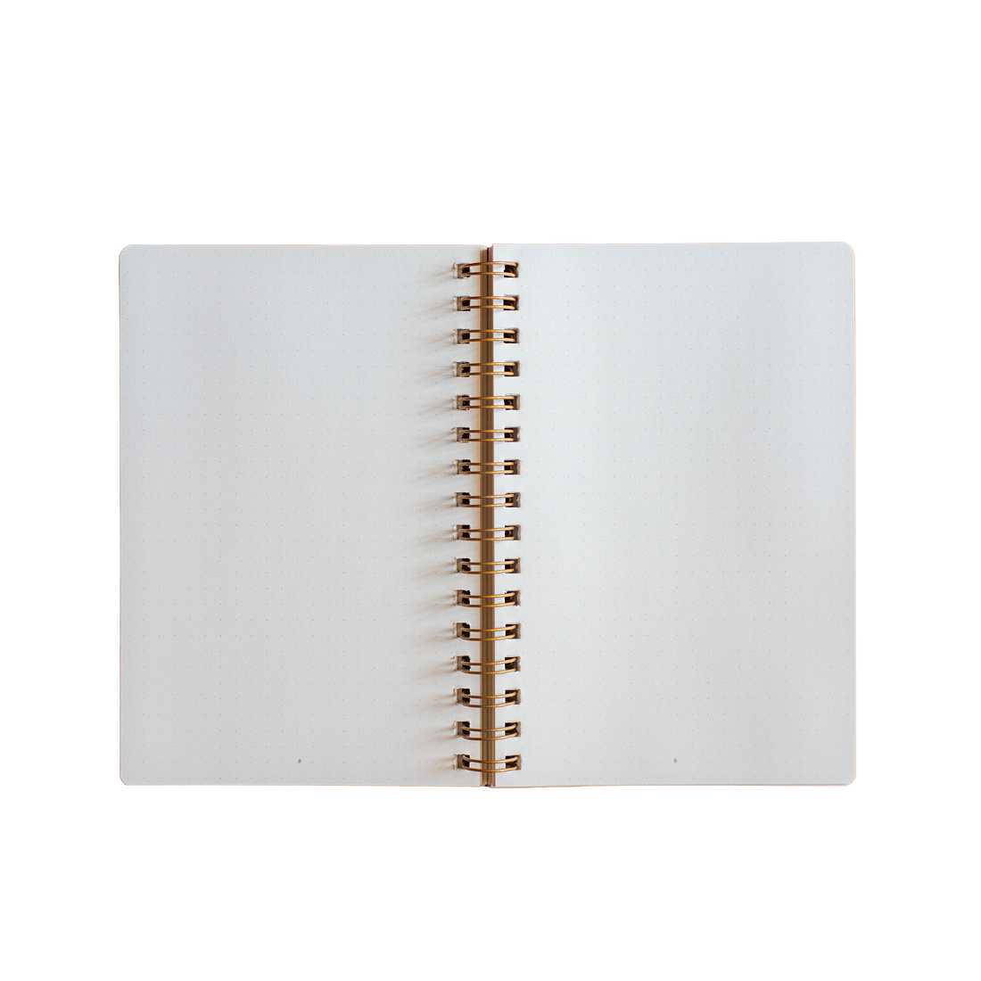 Caderno Limões
