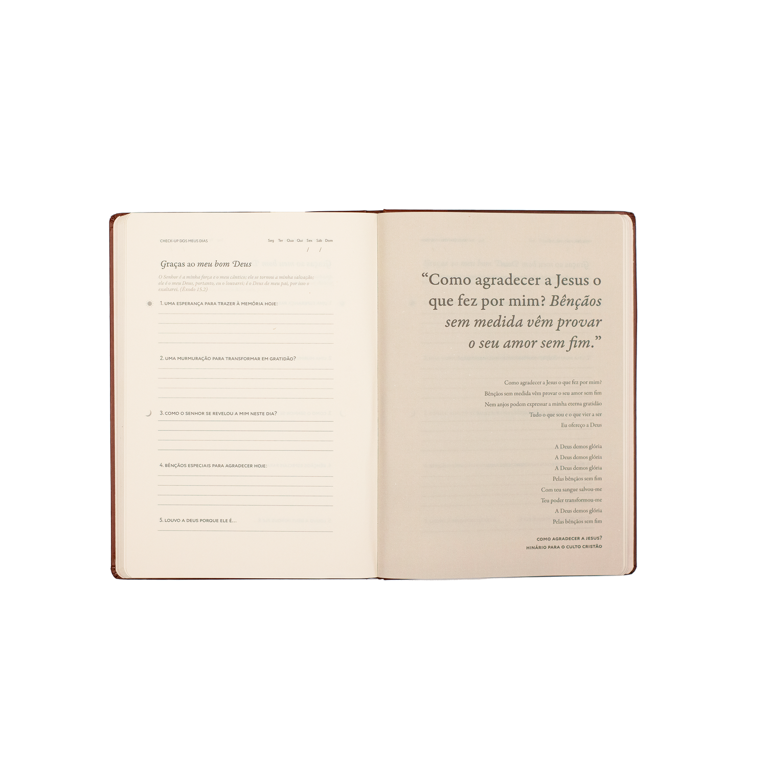 Graças ao meu bom Deus: Journal de Gratidão