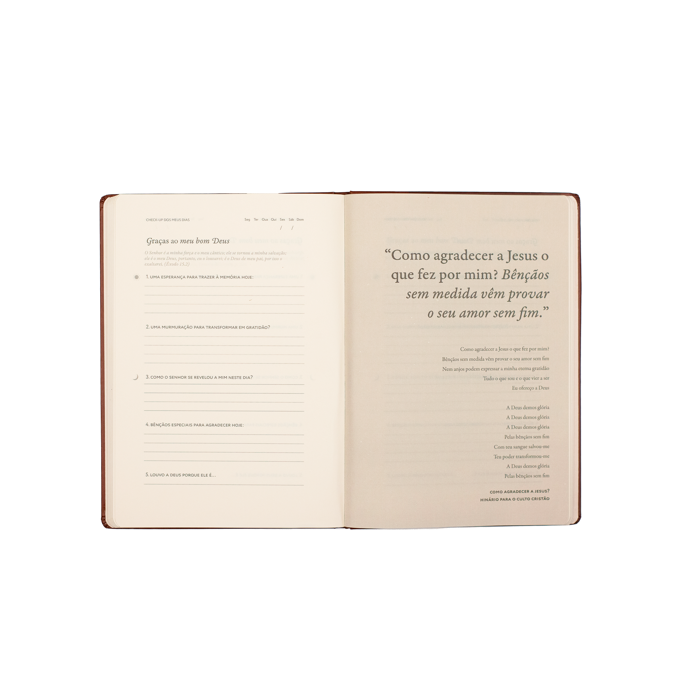 Graças ao meu bom Deus: Journal de Gratidão