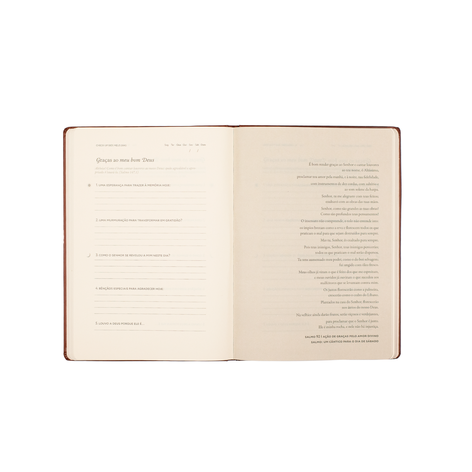 Graças ao meu bom Deus: Journal de Gratidão