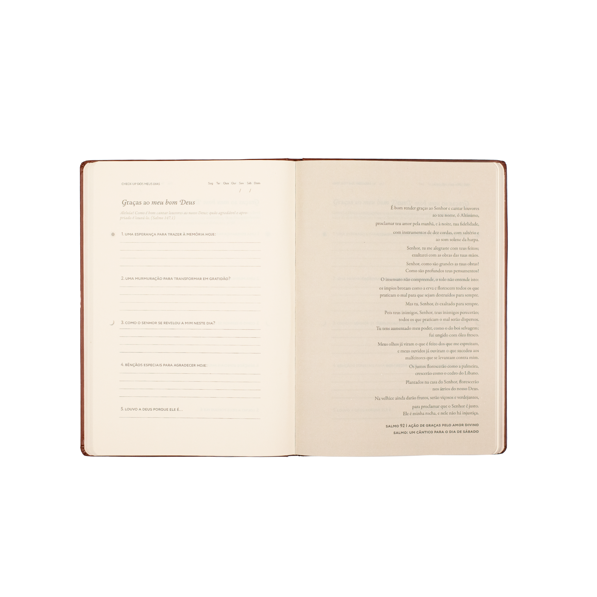Graças ao meu bom Deus: Journal de Gratidão