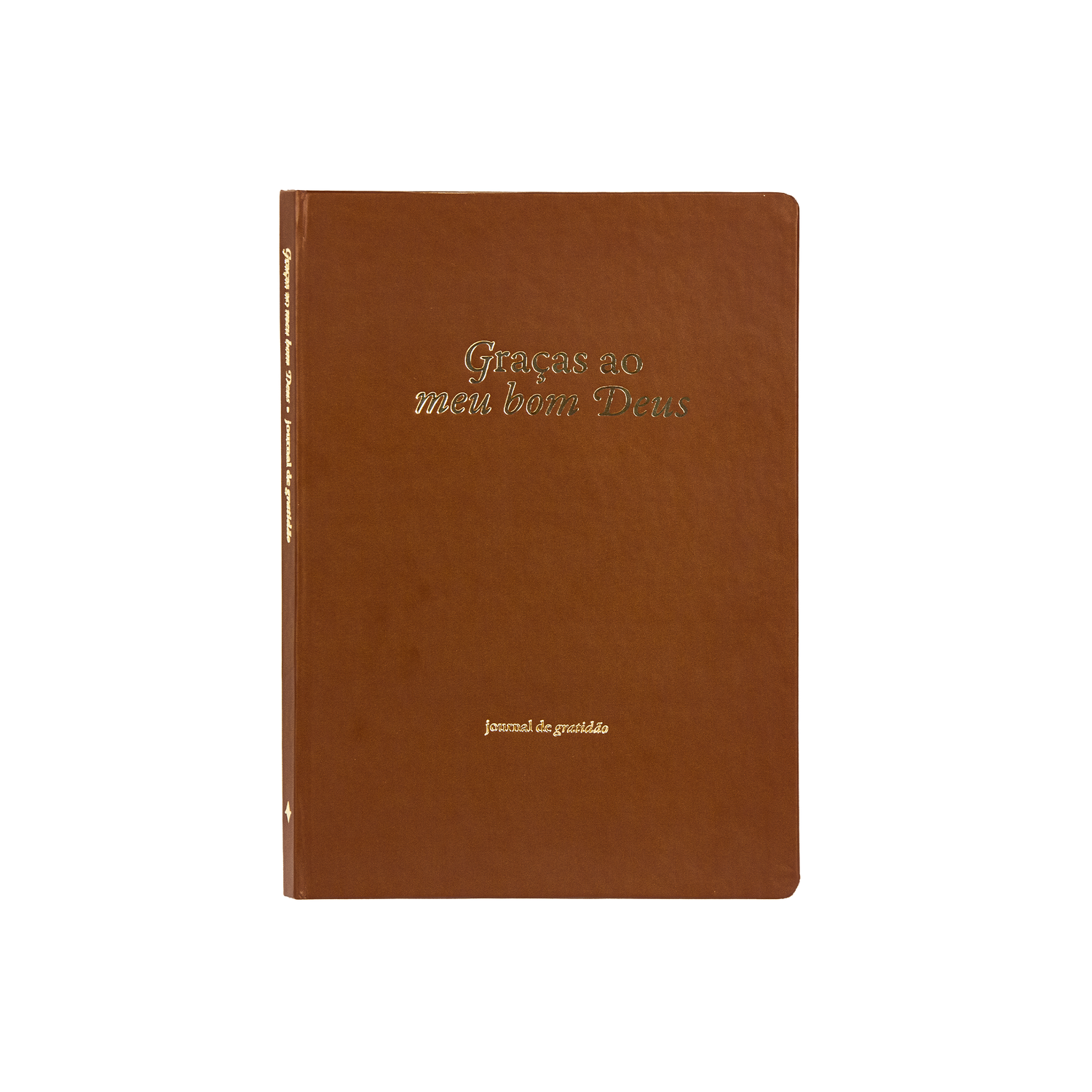 Graças ao meu bom Deus: Journal de Gratidão