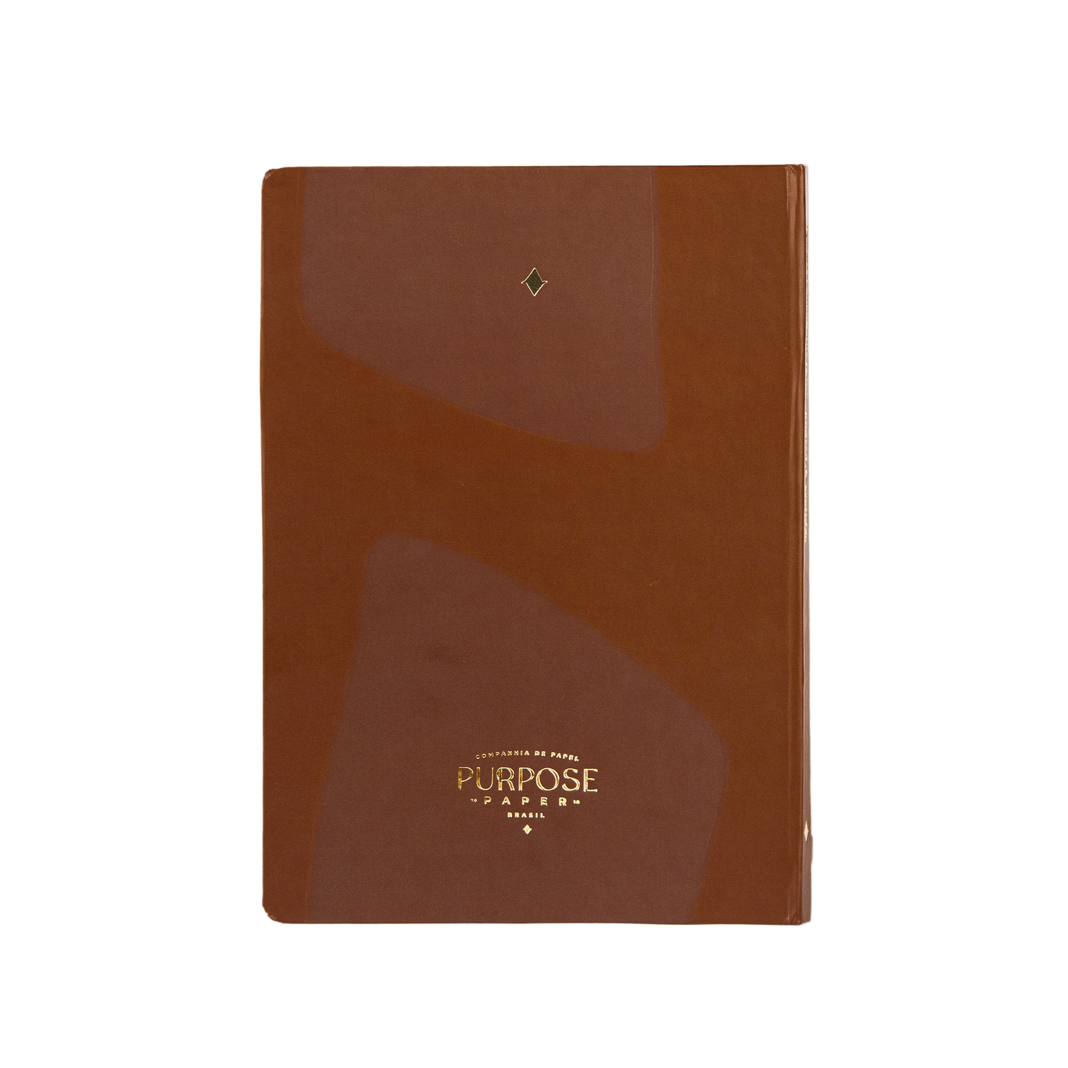 Graças ao meu bom Deus: Journal de Gratidão