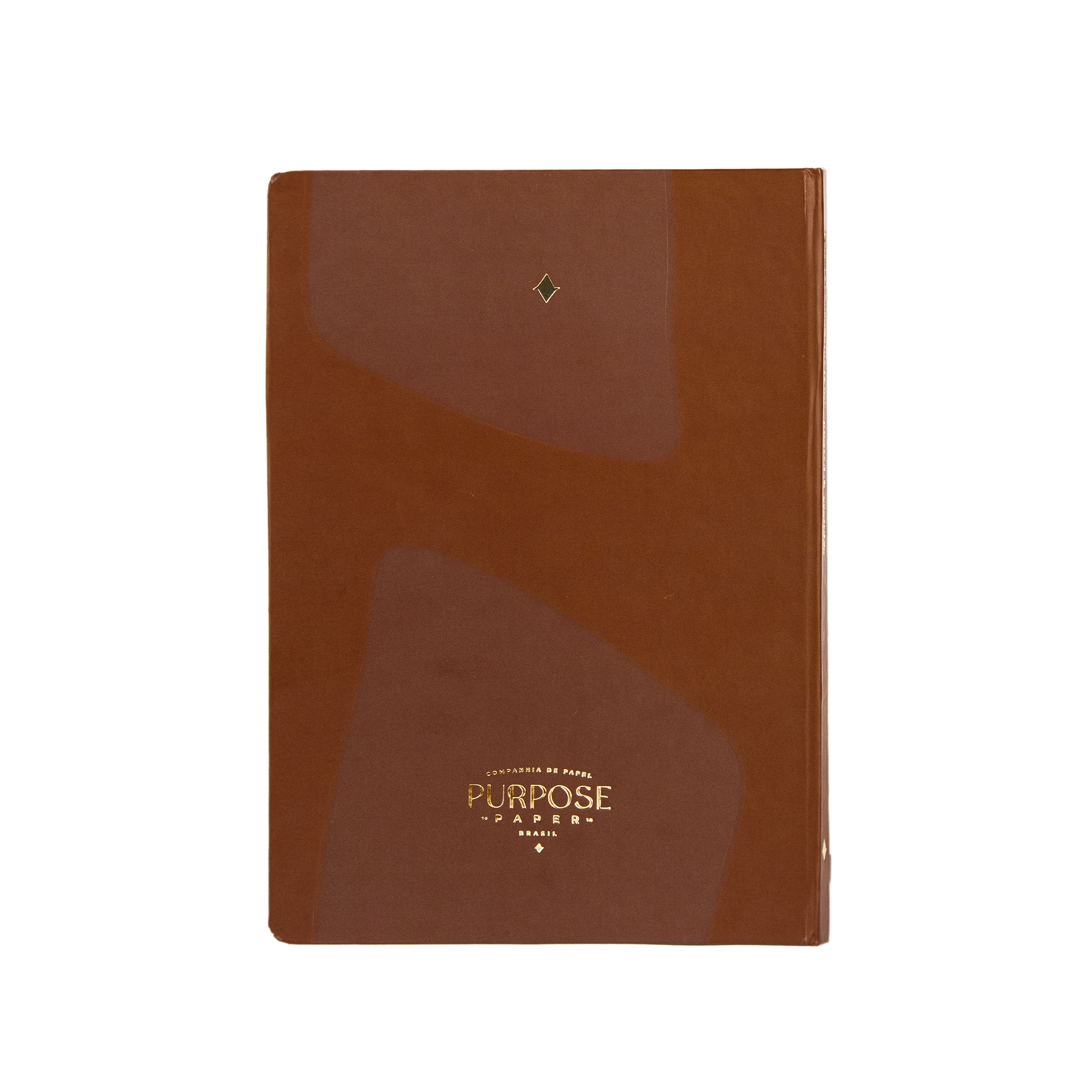 Graças ao meu bom Deus: Journal de Gratidão
