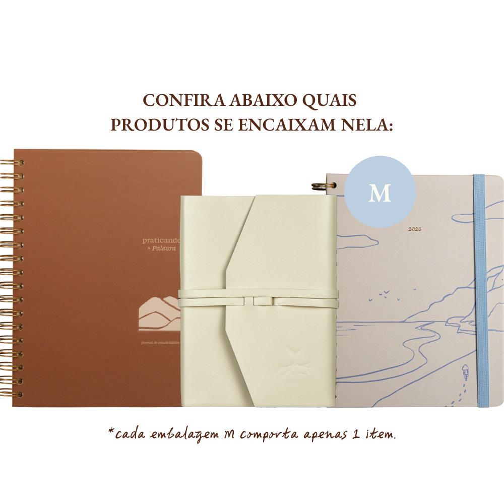 embalagem pra presente purpose