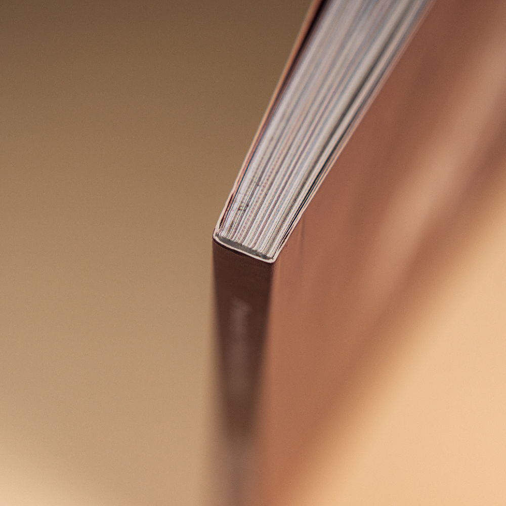 Bible Study: Rute - Redimidas pela Graça