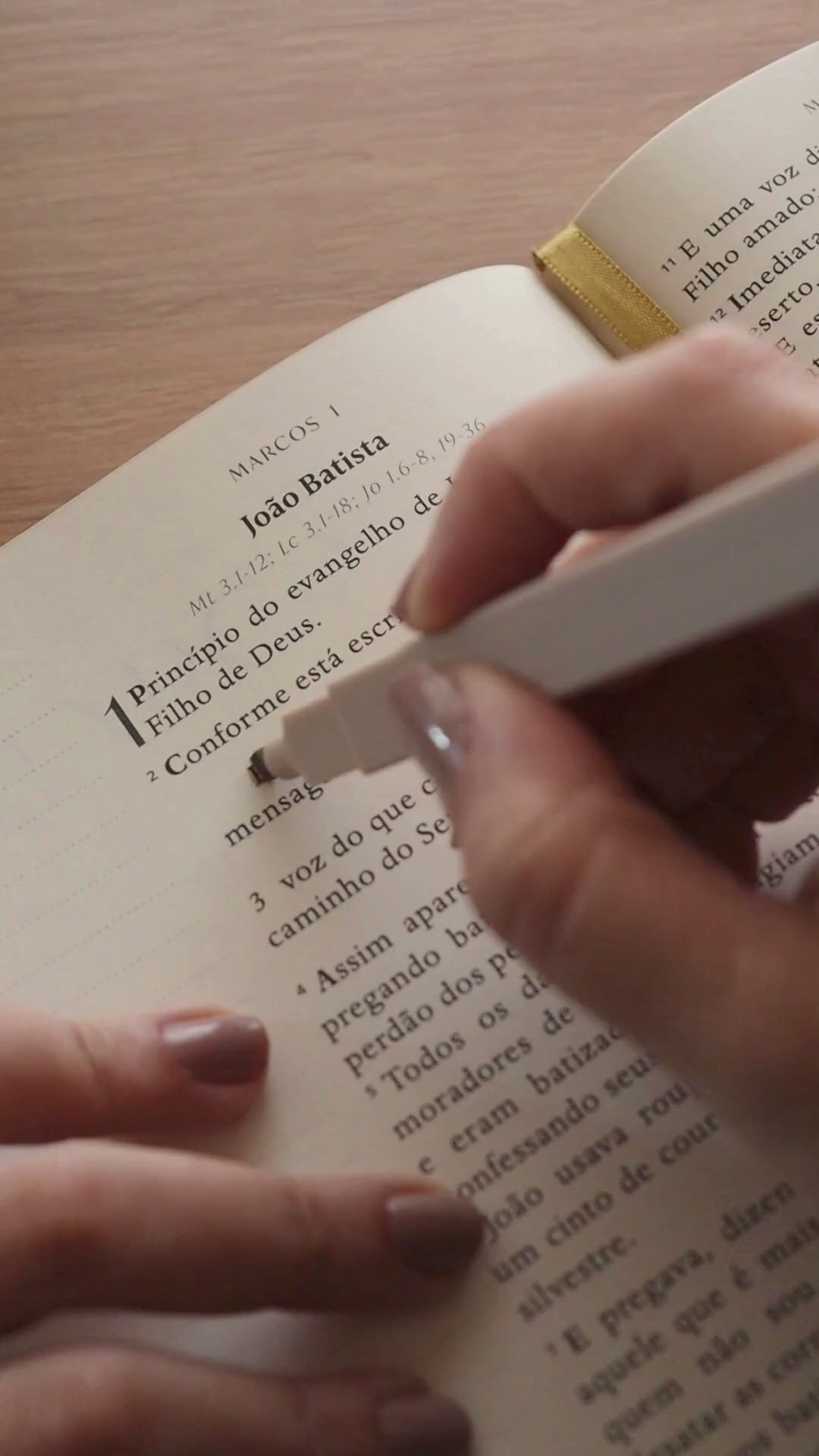 Bible Journal - Os 4 Evangelhos (A21)