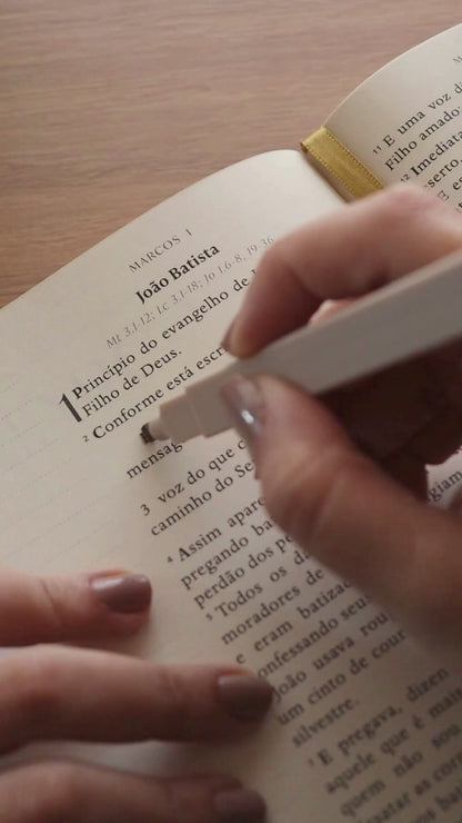 Bible Journal - Os 4 Evangelhos (A21)