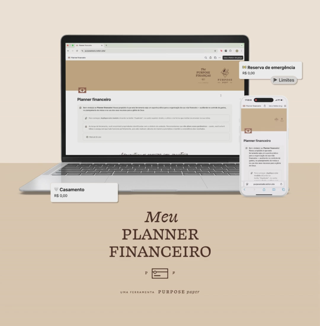 Purpose Notion Financeiro