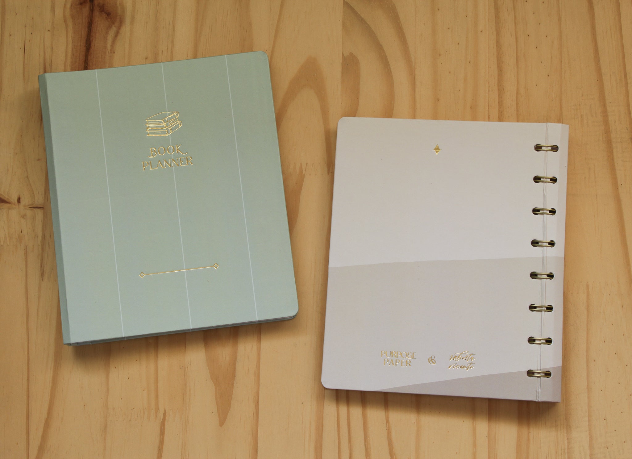 Planner de leitura azul